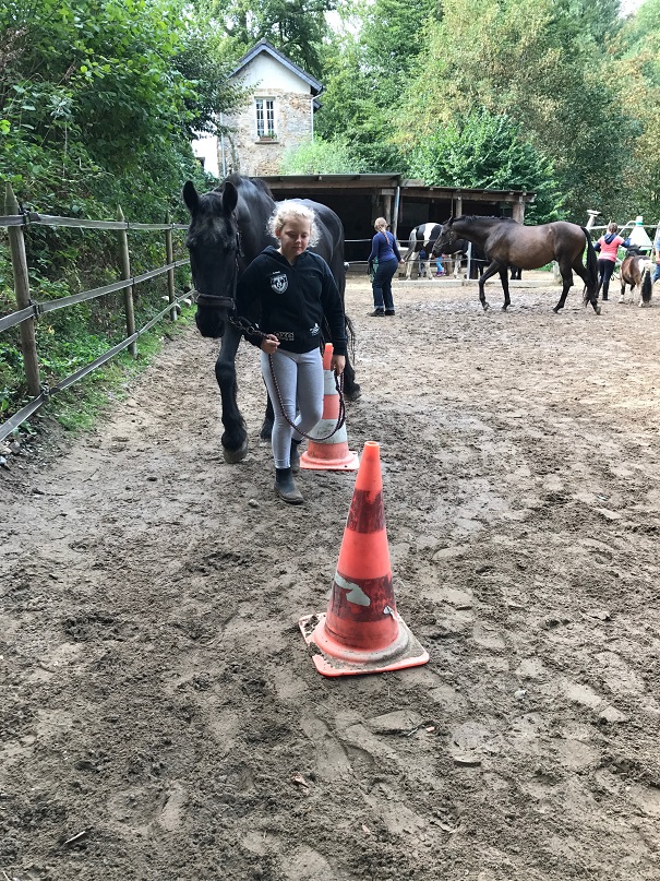 7A4A823C BC74 4146 8AF3 93FB0BF6A14F