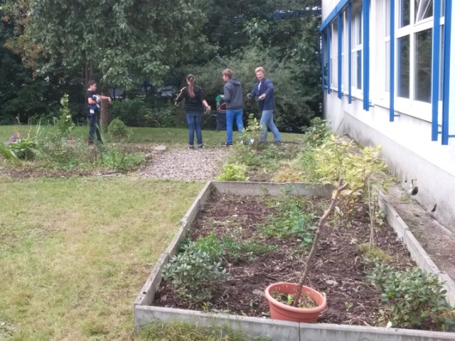 schulgarten2 640x480