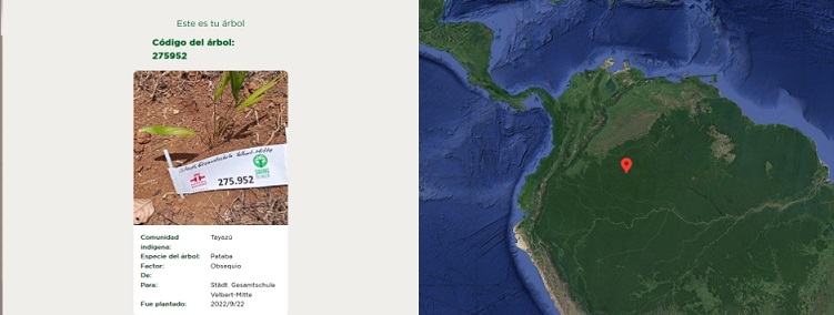 Lageplan Baum u. Pflanze s